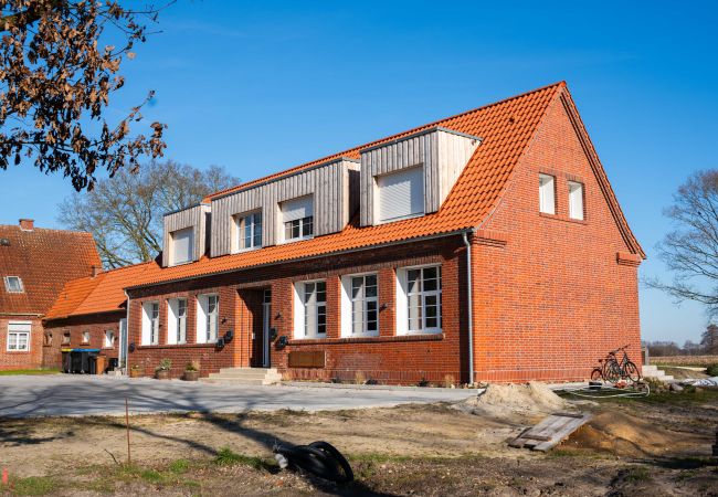 Image - Sanierung einer ehemaligen Grundschule